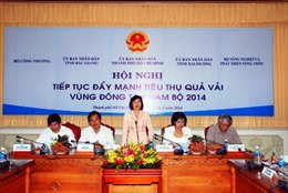 TP Hồ Chí Minh có sức mua 45.000 tấn vải quả